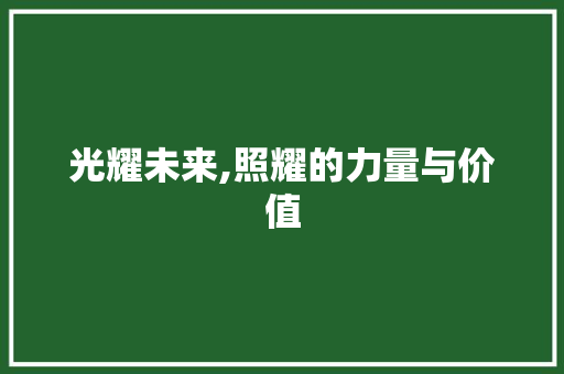 光耀未来,照耀的力量与价值