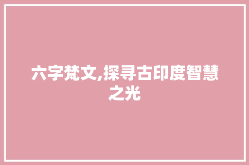 六字梵文,探寻古印度智慧之光 工作总结