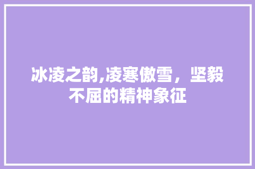 冰凌之韵,凌寒傲雪，坚毅不屈的精神象征