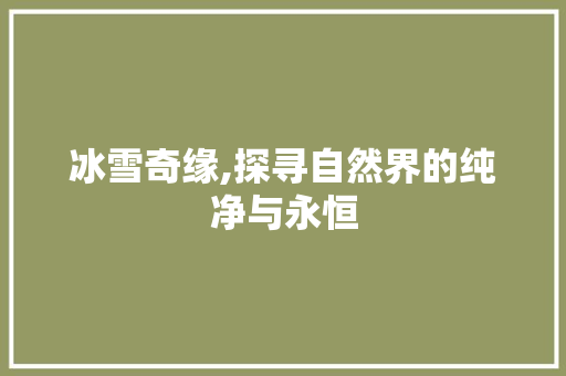 冰雪奇缘,探寻自然界的纯净与永恒