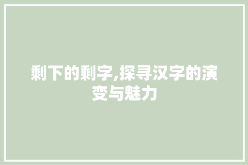 剩下的剩字,探寻汉字的演变与魅力