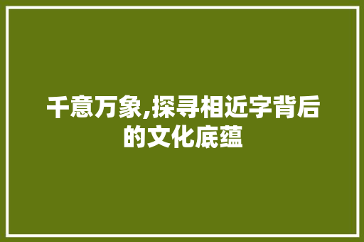 千意万象,探寻相近字背后的文化底蕴