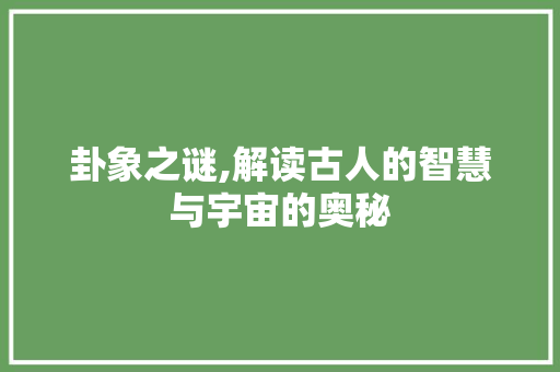 卦象之谜,解读古人的智慧与宇宙的奥秘