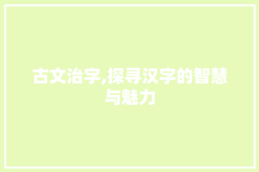古文治字,探寻汉字的智慧与魅力