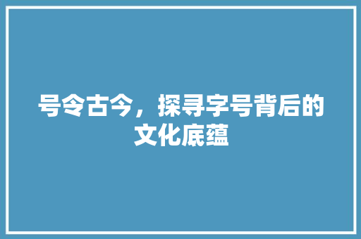 号令古今，探寻字号背后的文化底蕴