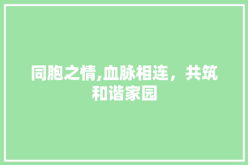 同胞之情,血脉相连，共筑和谐家园