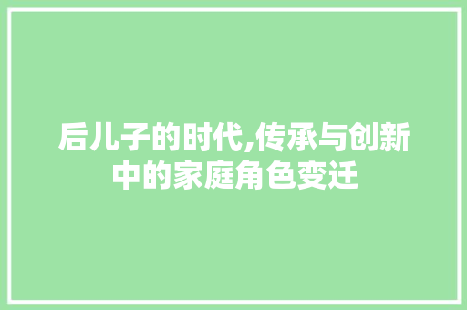 后儿子的时代,传承与创新中的家庭角色变迁