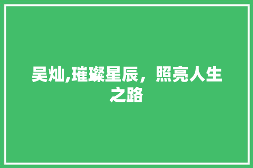 吴灿,璀璨星辰，照亮人生之路