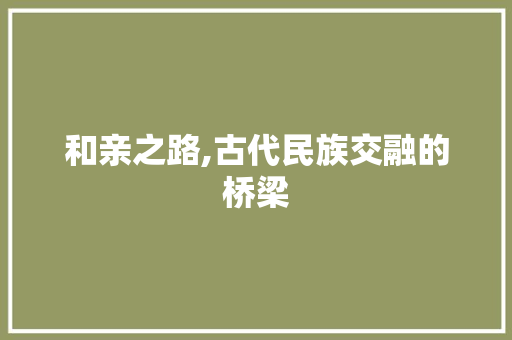 和亲之路,古代民族交融的桥梁