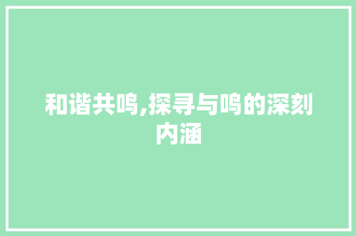 和谐共鸣,探寻与鸣的深刻内涵