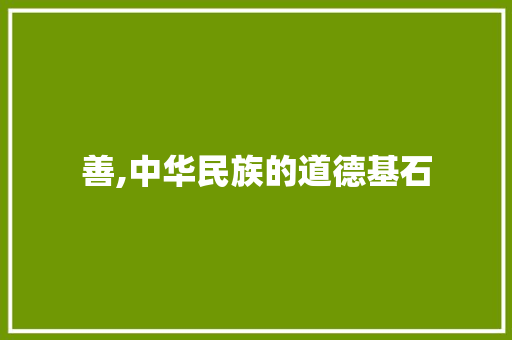 善,中华民族的道德基石 职场写作