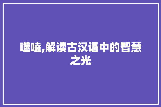 噬嗑,解读古汉语中的智慧之光