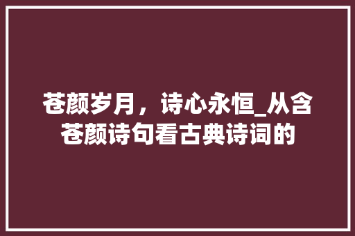 苍颜岁月，诗心永恒_从含苍颜诗句看古典诗词的 职场写作