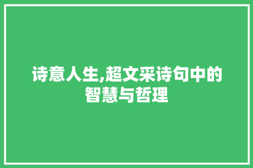 诗意人生,超文采诗句中的智慧与哲理
