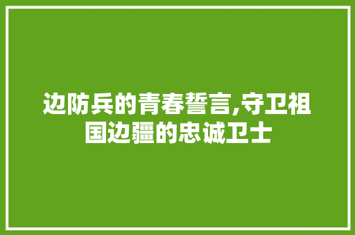 边防兵的青春誓言,守卫祖国边疆的忠诚卫士