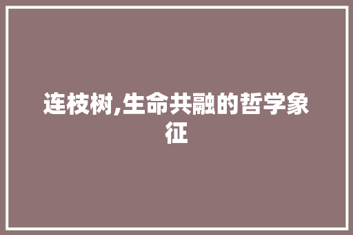 连枝树,生命共融的哲学象征 项目报告