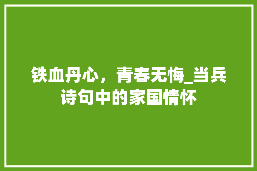 铁血丹心，青春无悔_当兵诗句中的家国情怀
