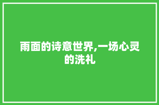 雨面的诗意世界,一场心灵的洗礼 项目报告
