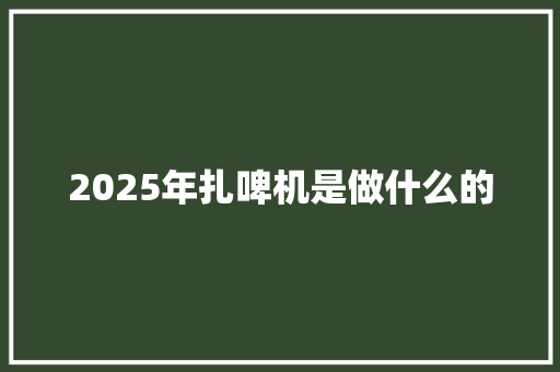 2025年扎啤机是做什么的