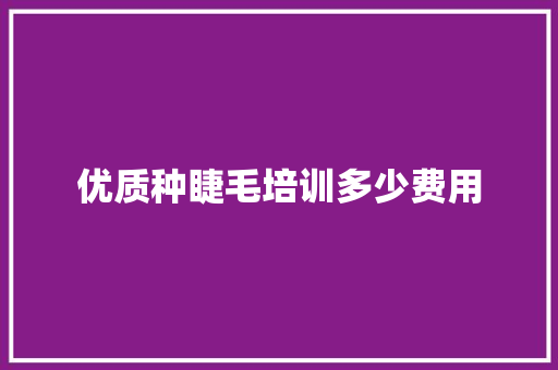 优质种睫毛培训多少费用