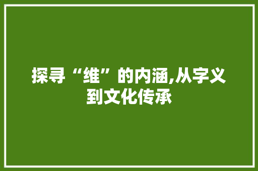探寻“维”的内涵,从字义到文化传承