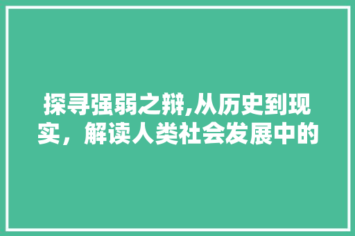 探寻强弱之辩,从历史到现实，解读人类社会发展中的强弱关系 项目报告