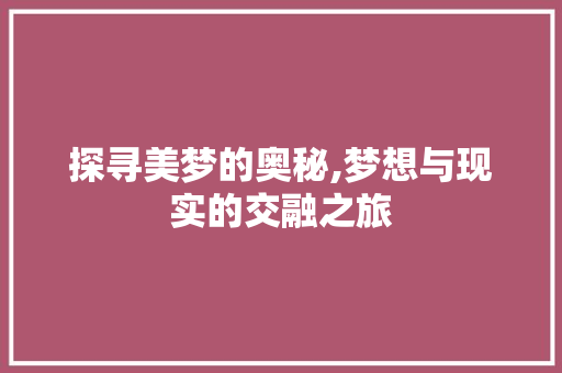 探寻美梦的奥秘,梦想与现实的交融之旅