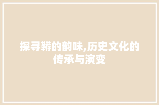 探寻鞯的韵味,历史文化的传承与演变