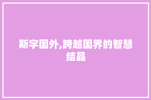 斯字国外,跨越国界的智慧结晶