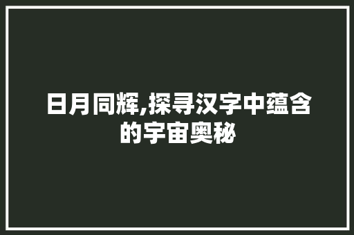 日月同辉,探寻汉字中蕴含的宇宙奥秘 工作总结