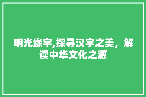 明光缘字,探寻汉字之美，解读中华文化之源