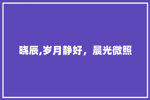 晓辰,岁月静好，晨光微照