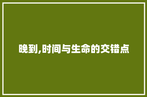 晚到,时间与生命的交错点 社交媒体