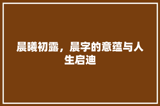 晨曦初露，晨字的意蕴与人生启迪