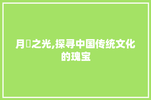 月煣之光,探寻中国传统文化的瑰宝 工作总结