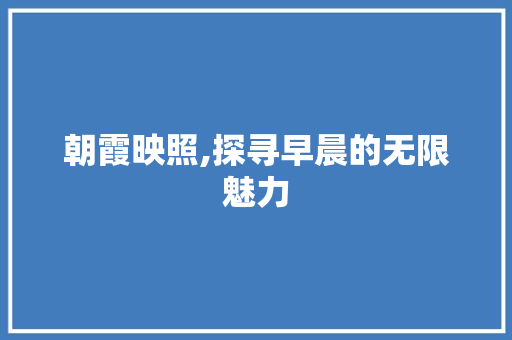 朝霞映照,探寻早晨的无限魅力