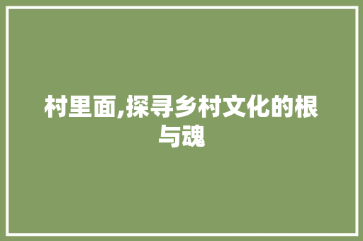 村里面,探寻乡村文化的根与魂