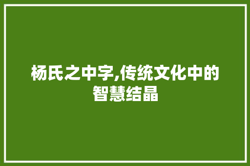 杨氏之中字,传统文化中的智慧结晶