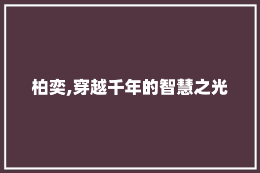 柏奕,穿越千年的智慧之光