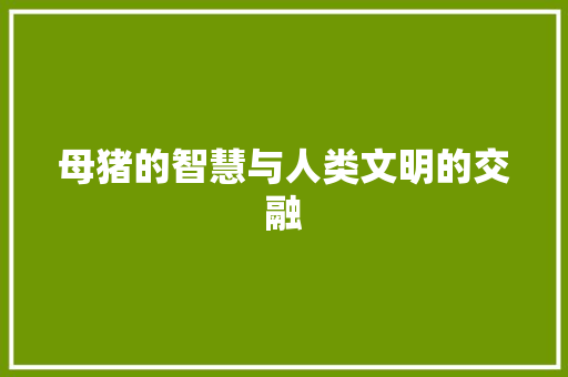 母猪的智慧与人类文明的交融