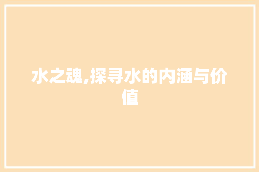 水之魂,探寻水的内涵与价值 职场写作