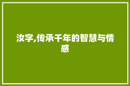 汝字,传承千年的智慧与情感