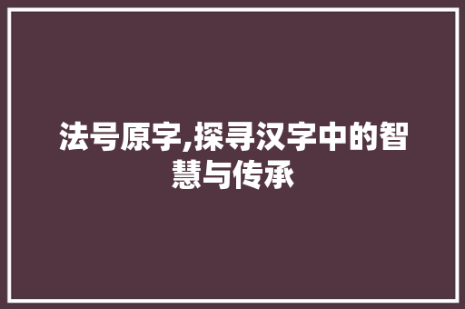 法号原字,探寻汉字中的智慧与传承 项目报告