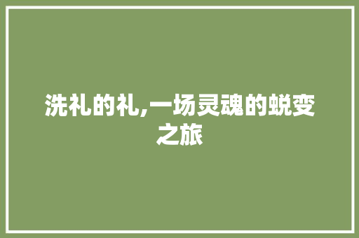 洗礼的礼,一场灵魂的蜕变之旅