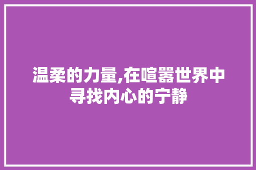 温柔的力量,在喧嚣世界中寻找内心的宁静 工作总结