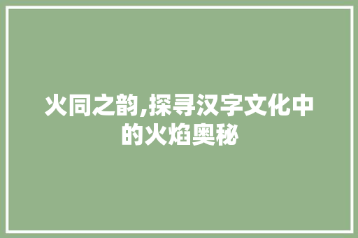 火同之韵,探寻汉字文化中的火焰奥秘