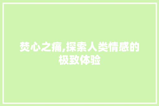 焚心之痛,探索人类情感的极致体验