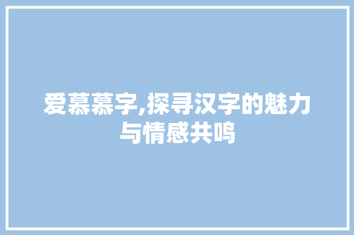 爱慕慕字,探寻汉字的魅力与情感共鸣