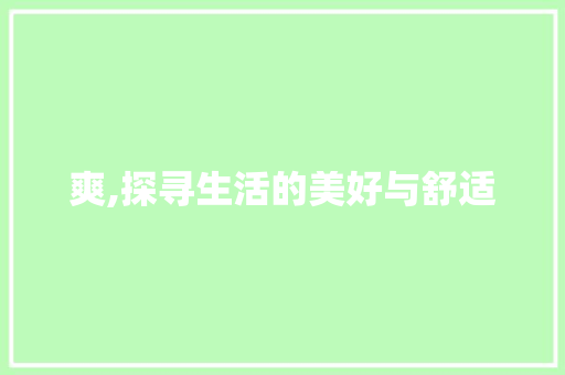 爽,探寻生活的美好与舒适 会议纪要