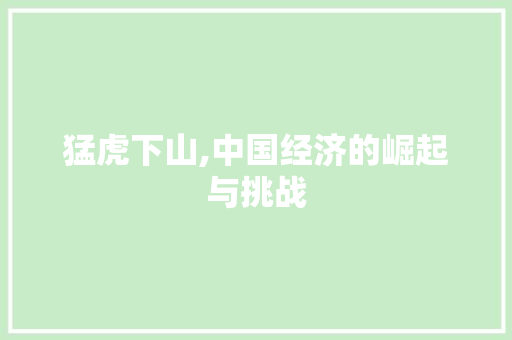 猛虎下山,中国经济的崛起与挑战 诗词应用